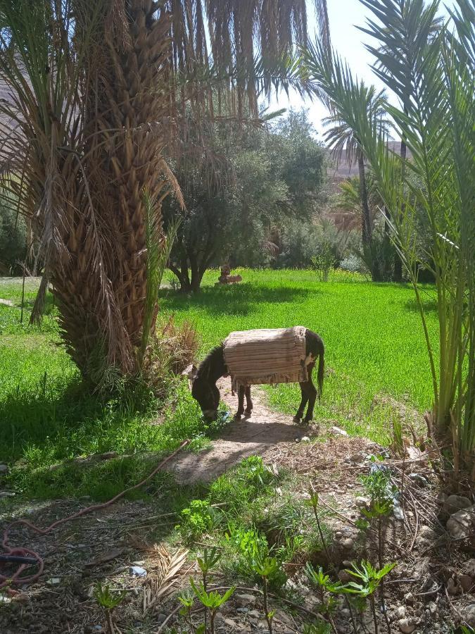 Hotel Dar Jamila à Achbarou Extérieur photo